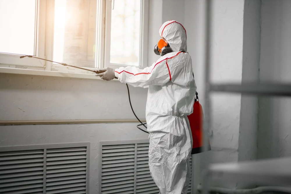 Professional mold remediation services in Keene, NH